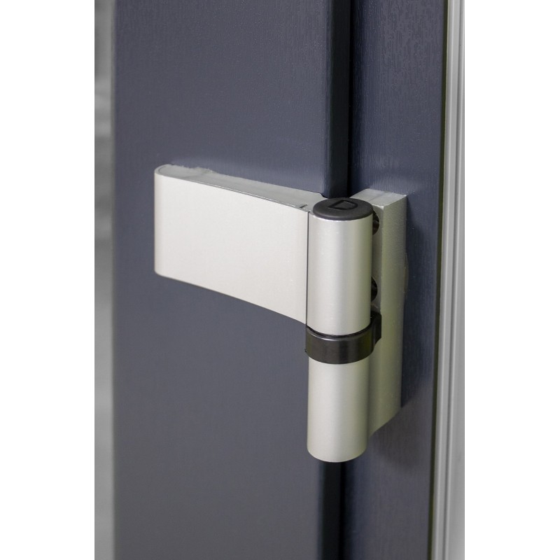 Kunststof Dubbele deur met 100cm zijlicht volglas b200-h215cm antraciet